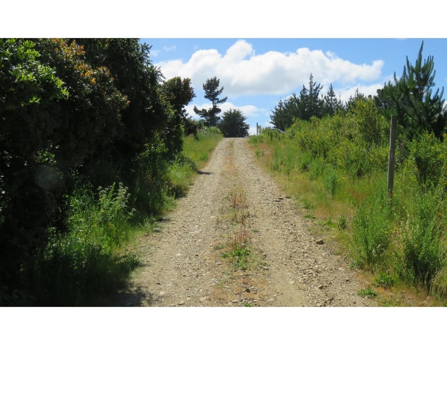 Parcelas en Venta Ñuble Cobquecura - Fotos de EL SILENCIO, COBQUECURA
