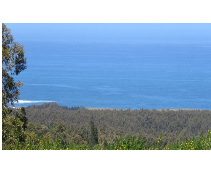 Parcelas en Venta Ñuble Cobquecura - Fotos de EL SILENCIO, COBQUECURA