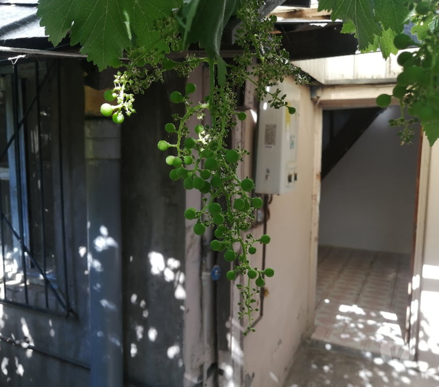 Arriendos Santiago San Ramón - Fotos de Departamento de Interior - independiente