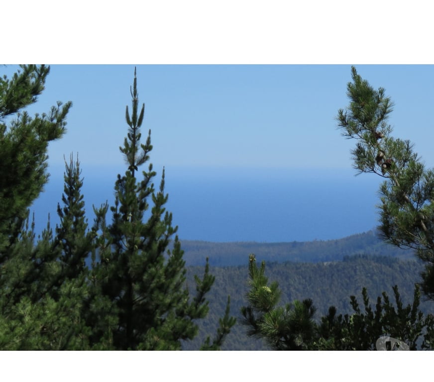 Parcelas en Venta Ñuble Cobquecura - Fotos de LOS MAQUIS ALTO, BUCHUPUREO