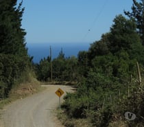 LOS MAQUIS ALTO, BUCHUPUREO