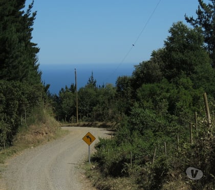 Parcelas en venta Cobquecura Ñuble - Fotos de LOS MAQUIS ALTO, BUCHUPUREO