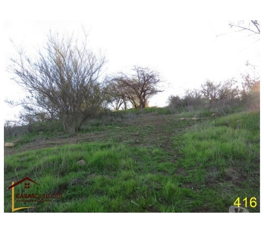 Parcelas en Venta Quillota Quillota - Fotos de Se vende, parcela en lugar tranquilo, alejado del ruido.