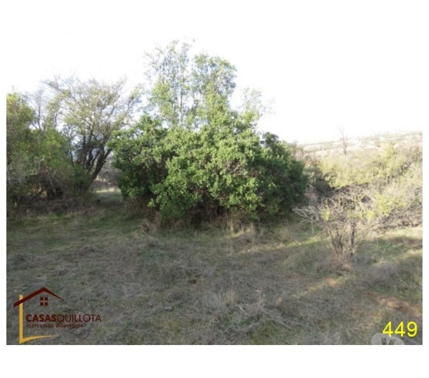 Parcelas en Venta Valparaíso Villa Alemana - Fotos de Se vende, espectacular parcela de 7.300 metros.