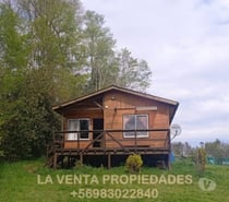 🌲 SE VENDE PARCELA CON CABAÑA + BOSQUE NATIVO 🌲