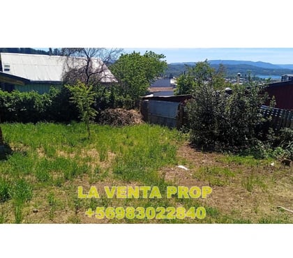 Inmobiliaria Villarrica Cautín - Fotos de 🏡 040 – Terreno en Venta Sector Urbano
