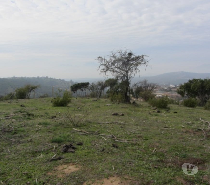Parcelas en Venta Valparaíso Villa Alemana - Fotos de PARCELA EXCELENTE VISTA PEÑABLANCA CAJON DEL LEBU