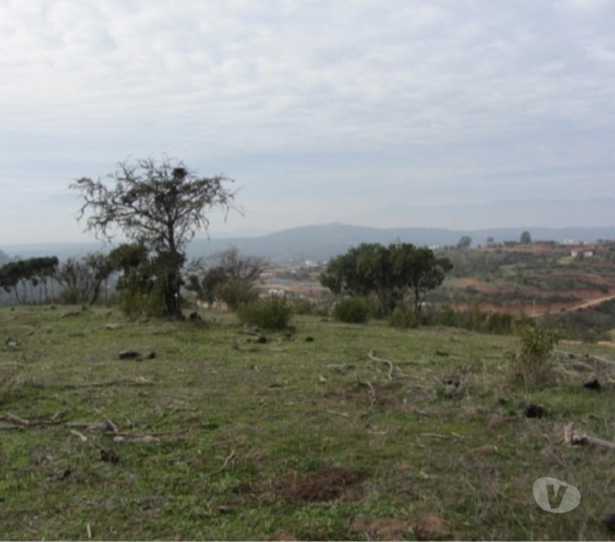 Parcelas en Venta Valparaíso Villa Alemana - Fotos de PARCELA EXCELENTE VISTA PEÑABLANCA CAJON DEL LEBU