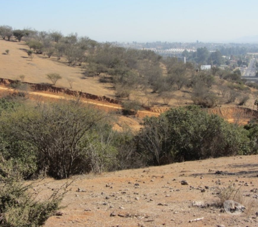 Parcelas en Venta Valparaíso Villa Alemana - Fotos de PARCELA SECTOR EL CARMEN PEÑABLANCA