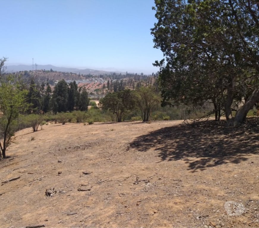 Parcelas en Venta Valparaíso Villa Alemana - Fotos de TERRENO SECTOR EL CARMEN PEÑABLANCA