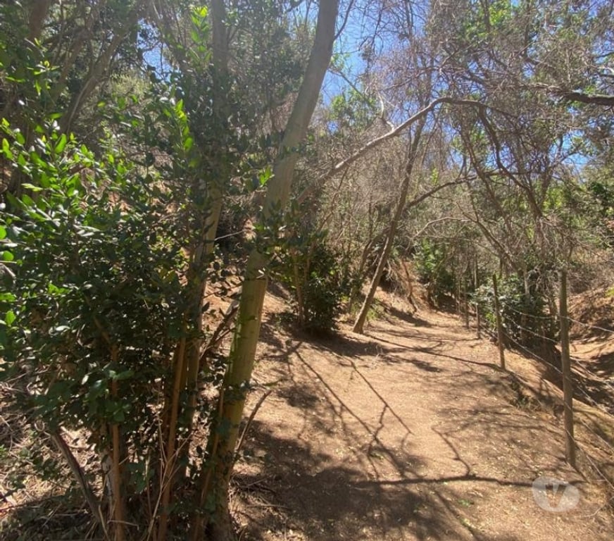 Parcelas en Venta Valparaíso Villa Alemana - Fotos de PARCELA SECTOR DE ALTA PLUSVALÍA CAMINO LA RINCONADA