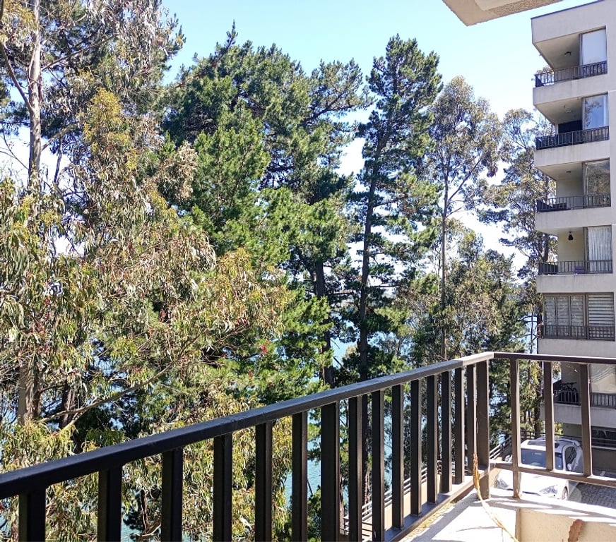 Arriendos Concepción Chiguayante - Fotos de Marina y vista Laguna Grande, rodeado de naturaleza.