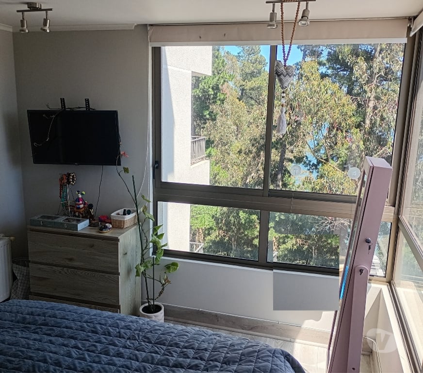 Arriendos Concepción Chiguayante - Fotos de Marina y vista Laguna Grande, rodeado de naturaleza.