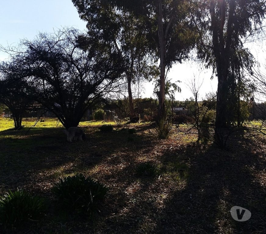 Parcelas en Venta Valparaíso Villa Alemana - Fotos de AMPLIO TERRENO CON CASA SECTOR PATAGUAL