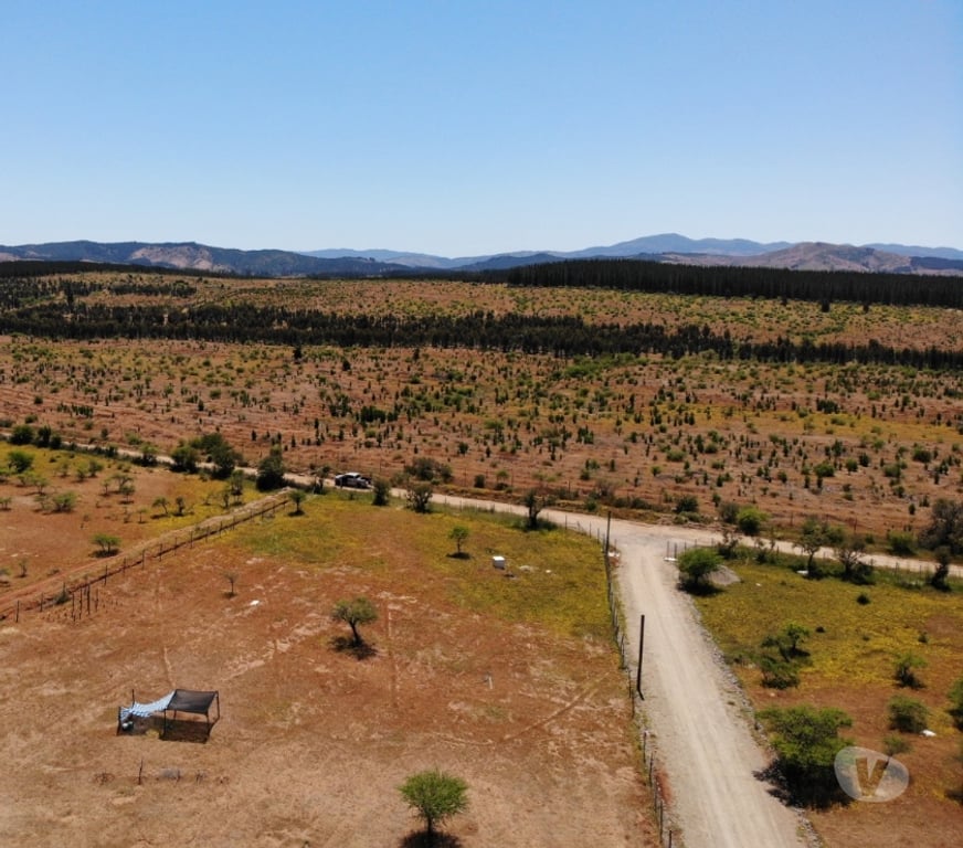Bienes Raices Talca Talca - Fotos de Parcelas 5.000 m² desde $9.9M en Maule ¡Oportunidad!