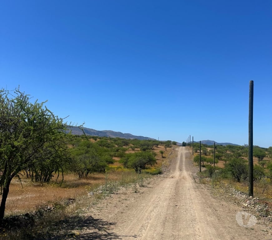 Bienes Raices Talca Talca - Fotos de Parcelas 5.000 m² desde $9.9M en Maule ¡Oportunidad!
