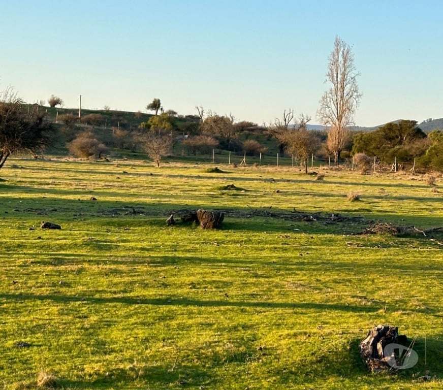 Bienes Raices Talca Talca - Fotos de Parcelas 5.000 m² desde $9.9M en Maule ¡Oportunidad!