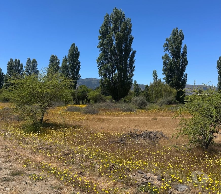 Bienes Raices Talca Talca - Fotos de Parcelas 5.000 m² desde $9.9M en Maule ¡Oportunidad!