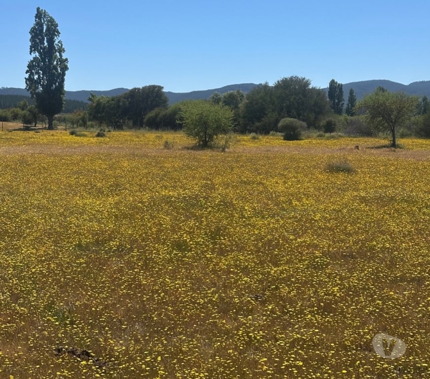 Bienes Raices Talca Talca - Fotos de Parcelas 5.000 m² desde $9.9M en Maule ¡Oportunidad!