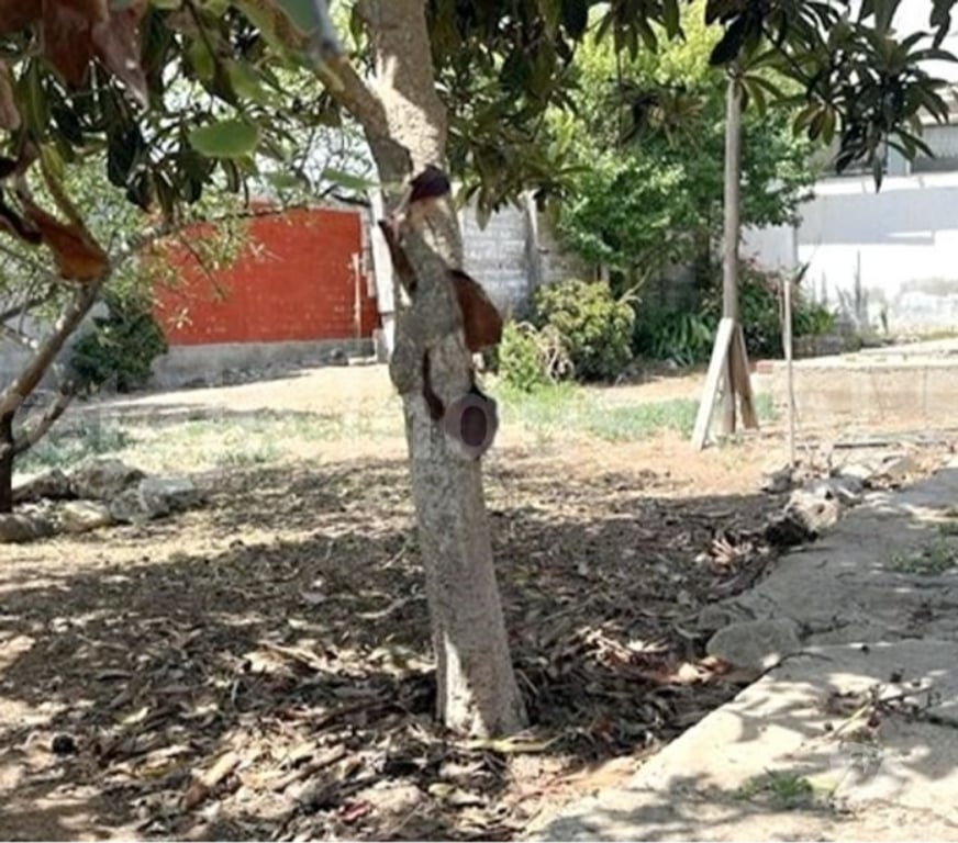 Bienes Raices Choapa Los Vilos - Fotos de Venta Casa Los Pinos 172 en Los Vilos