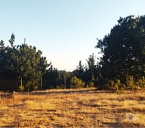 Fotos de PARCELA EN VENTA SECTOR MELOSILLA