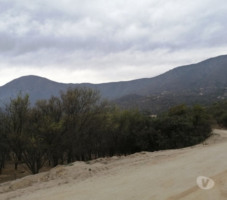 Parcelas en Venta Quillota Hijuelas - Fotos de TERRENO EN PENDIENTE SUAVE, OASIS DE LA CAMPANA