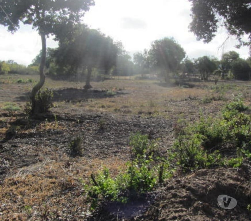 Parcelas en Venta Valparaíso Quintero - Fotos de PARCELA SECTOR EXCLUSIVO VALLE ALEGRE