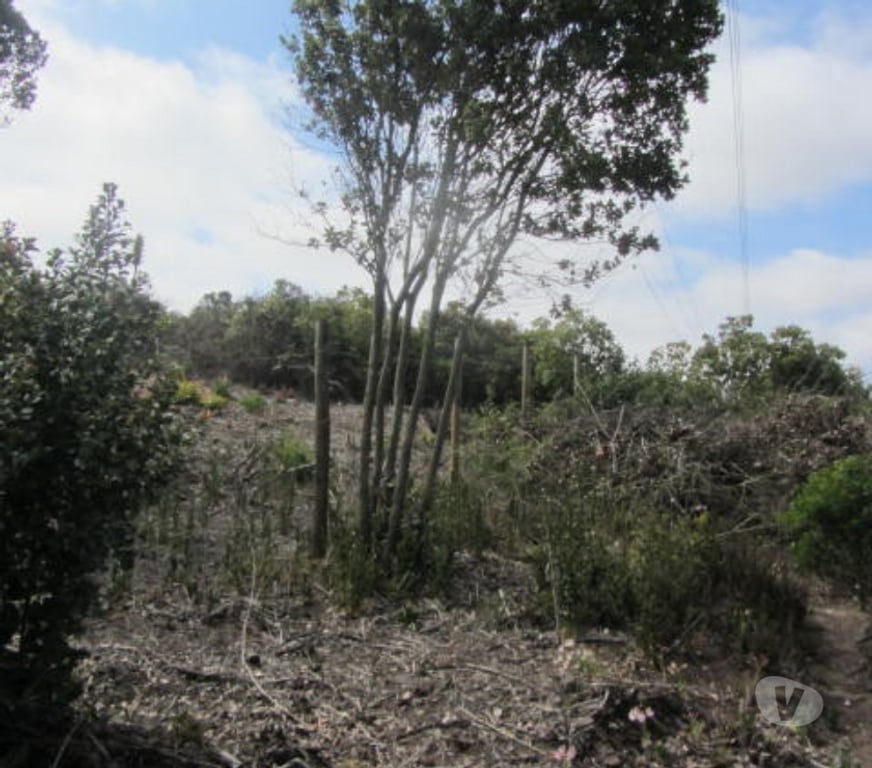 Parcelas en Venta Valparaíso Quintero - Fotos de PARCELA EN SECTOR CAMPOMAR IV, QUINTERO