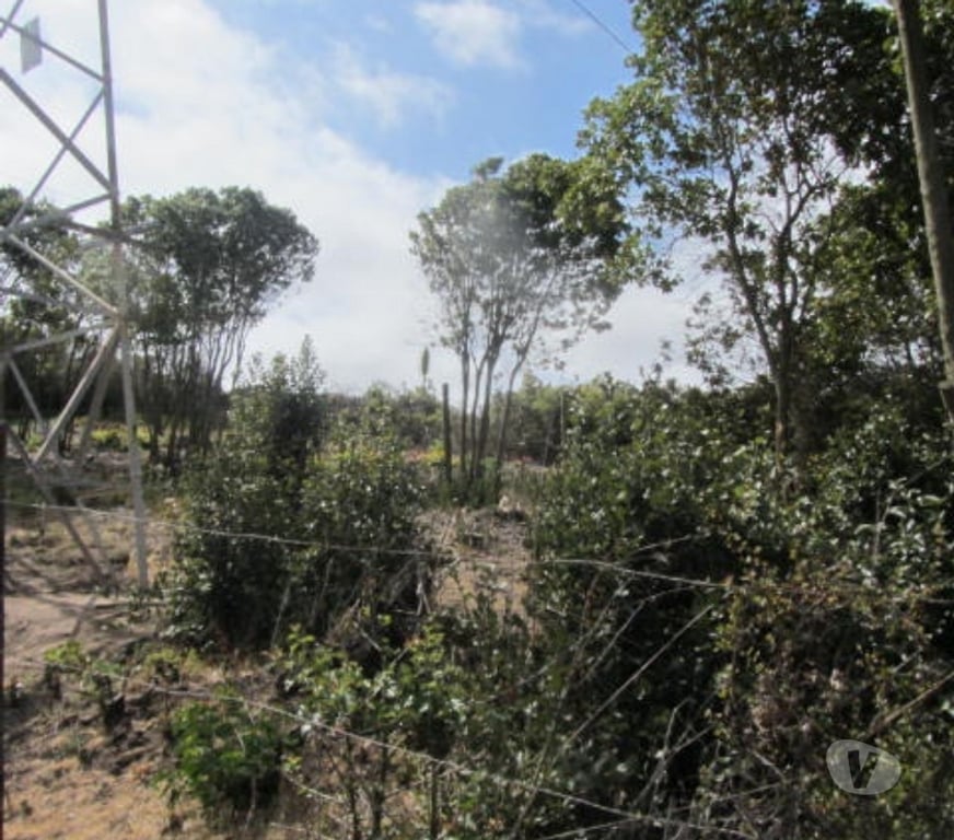 Parcelas en Venta Valparaíso Quintero - Fotos de PARCELA EN SECTOR CAMPOMAR IV, QUINTERO