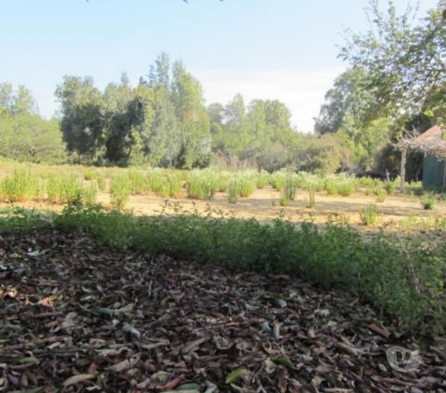 Parcelas en Venta Valparaíso Quintero - Fotos de PARCELA CON DOS CABAÑAS SECTOR VALLE DEL ESTERO QUINTERO