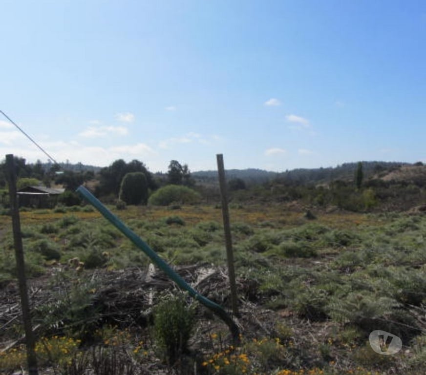 Parcelas en Venta Valparaíso Quintero - Fotos de PARCELA PLANA SECTOR VALLE DEL ESTERO QUINTERO