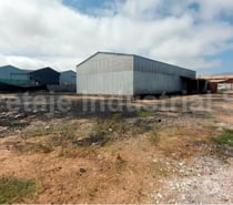 Fotos de Venta Galpón Nueva Cinco esq. San Ramón