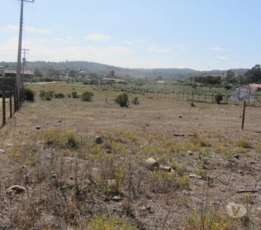 Parcelas en Venta Valparaíso Quintero - Fotos de PARCELA PLANA EN CONDOMINIO VALLE DEL ESTERO