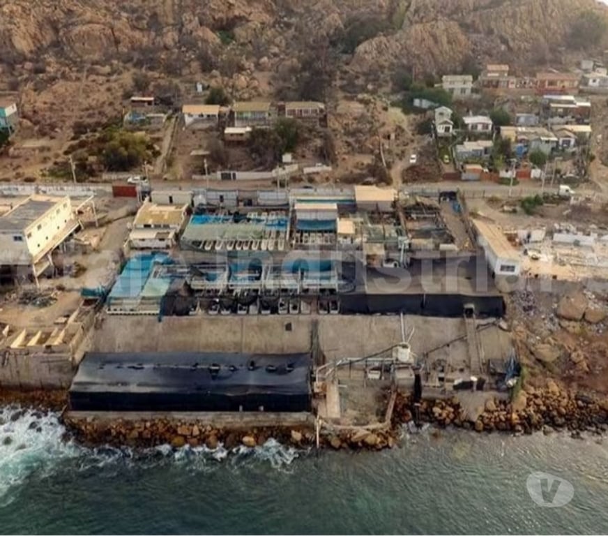 Arriendo bodegas Elqui Conquimbo - Fotos de Venta Pesquera Camino Al Fuerte