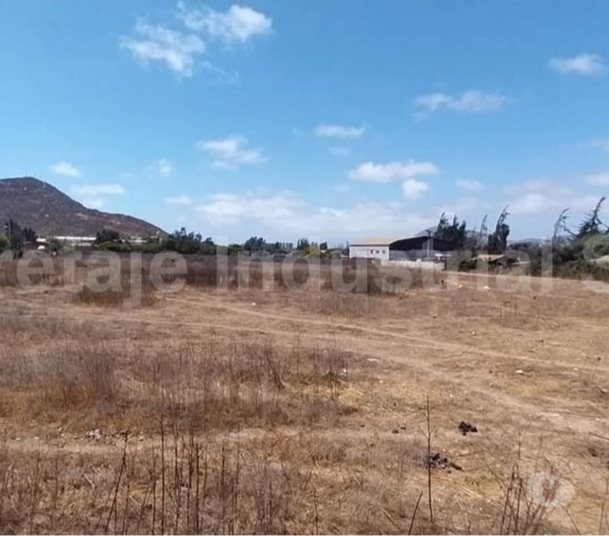 Parcelas en Venta Elqui Conquimbo - Fotos de Venta Terreno Pan de Azúcar Sector Triunfo Campesino