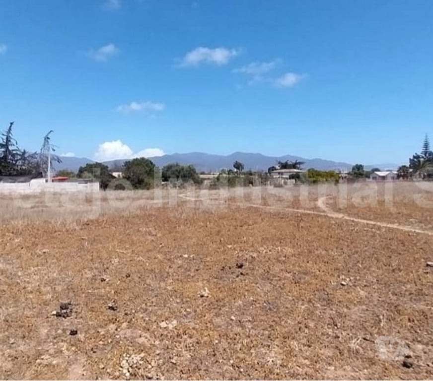 Parcelas en Venta Elqui Conquimbo - Fotos de Venta Terreno Pan de Azúcar Sector Triunfo Campesino