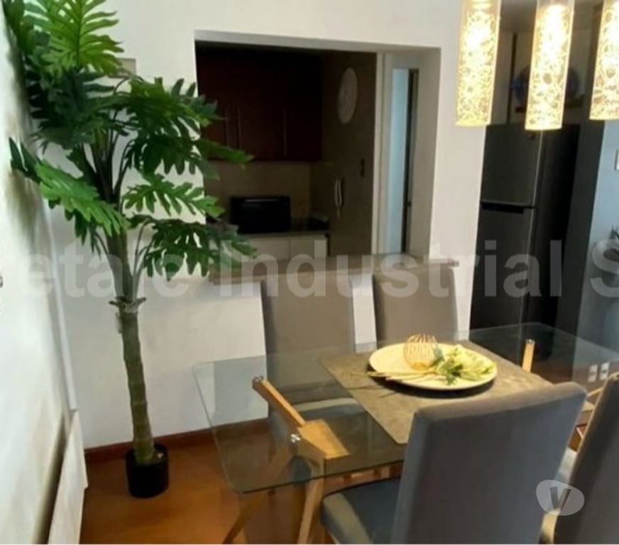 Bienes Raices Santiago Providencia - Fotos de Venta Departamento Ricardo Lyon