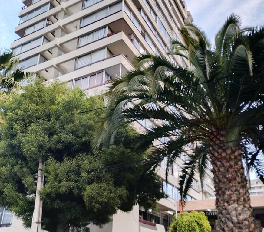 Arriendos Valparaíso Viña del Mar - Fotos de Se Arrienda Depto. 2D, 1B Terraza cerrada más 1 Est. 1 Bod.