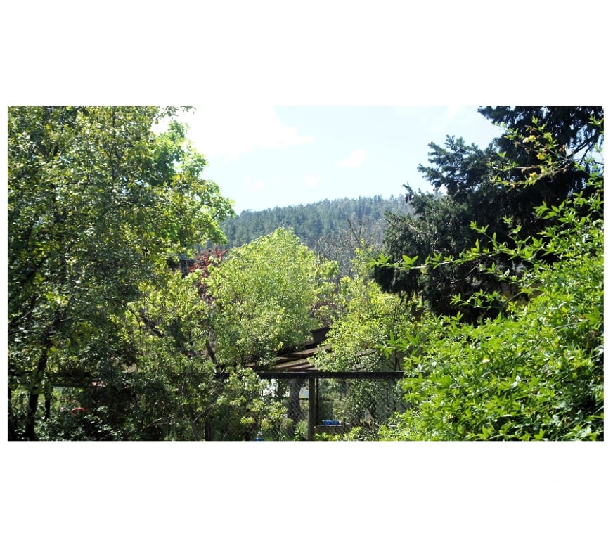 Parcelas en Venta Concepción Chiguayante - Fotos de Terreno en sector Manquimavida ,Chiguayante.