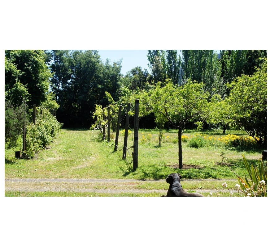 Parcelas en Venta Concepción Chiguayante - Fotos de Terreno en sector Manquimavida ,Chiguayante.