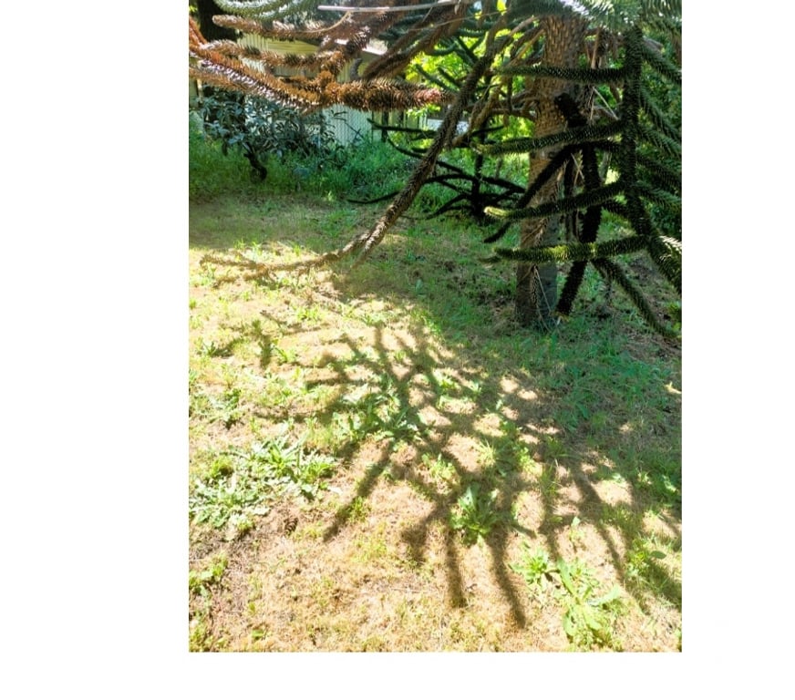 Parcelas en Venta Concepción Chiguayante - Fotos de Terreno en sector Manquimavida ,Chiguayante.