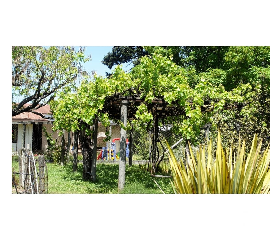 Parcelas en Venta Concepción Chiguayante - Fotos de Terreno en sector Manquimavida ,Chiguayante.