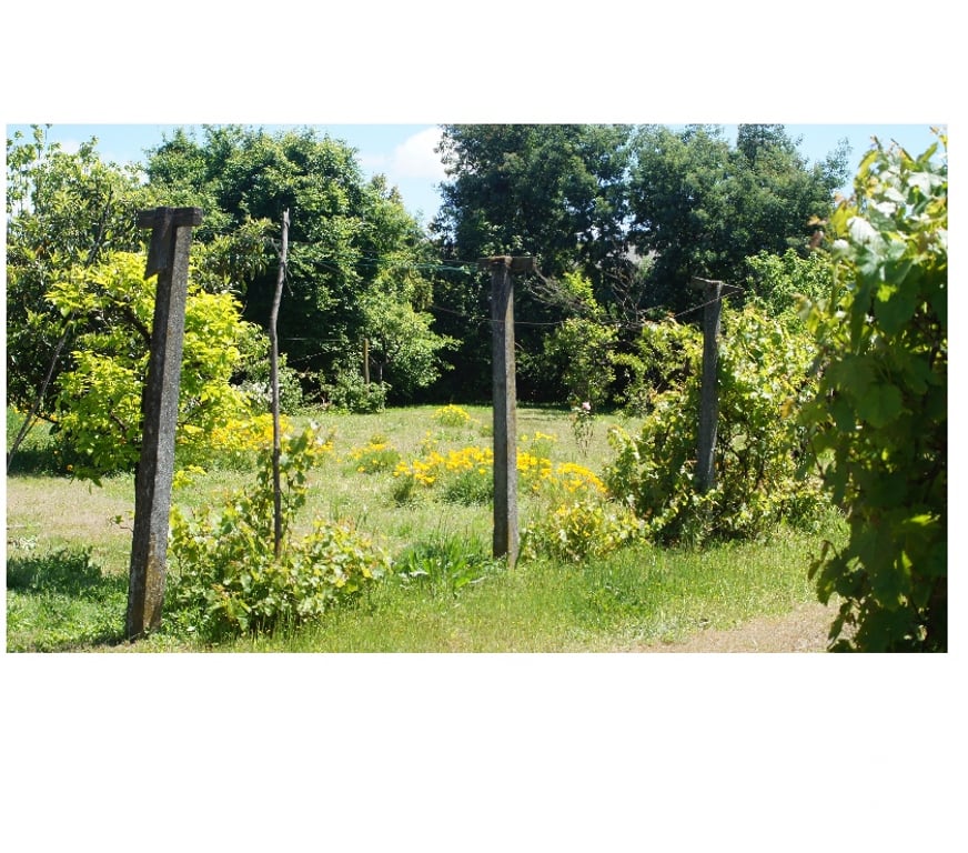 Parcelas en Venta Concepción Chiguayante - Fotos de Terreno en sector Manquimavida ,Chiguayante.