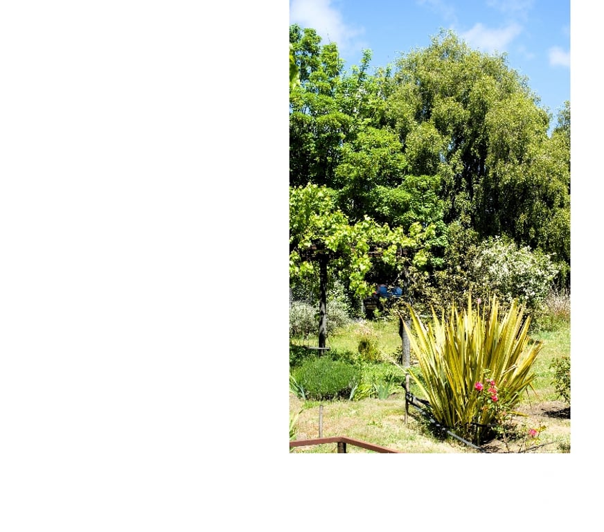 Parcelas en Venta Concepción Chiguayante - Fotos de Terreno en sector Manquimavida ,Chiguayante.