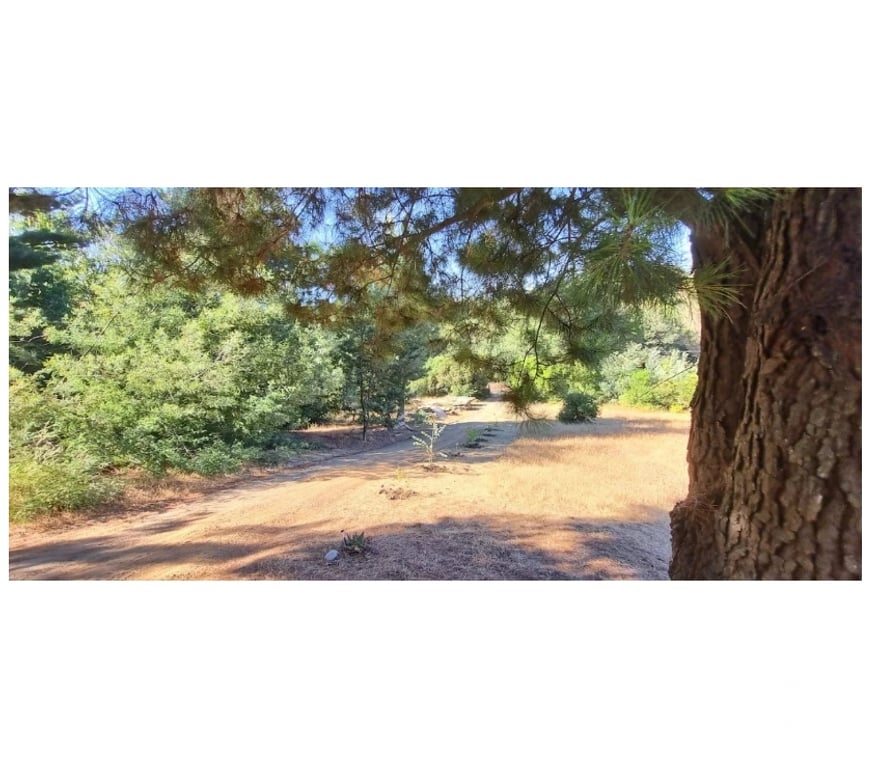 Parcelas en Venta Bío-Bío Yumbel - Fotos de Parcela Con Casa Sector Cancha Los Monteros