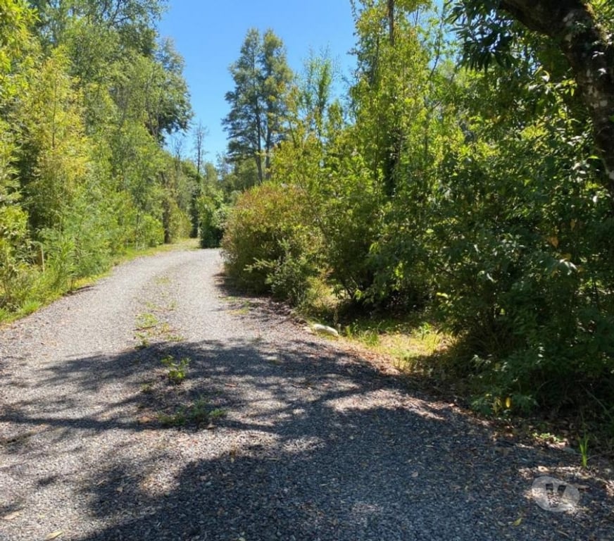 Bienes Raices Cautín Villarrica - Fotos de Casa amplia en parcela abundante bosque nativo