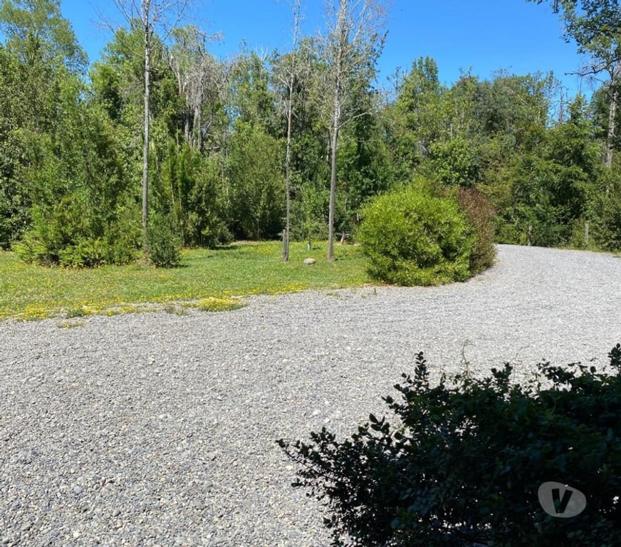 Bienes Raices Cautín Villarrica - Fotos de Casa amplia en parcela abundante bosque nativo