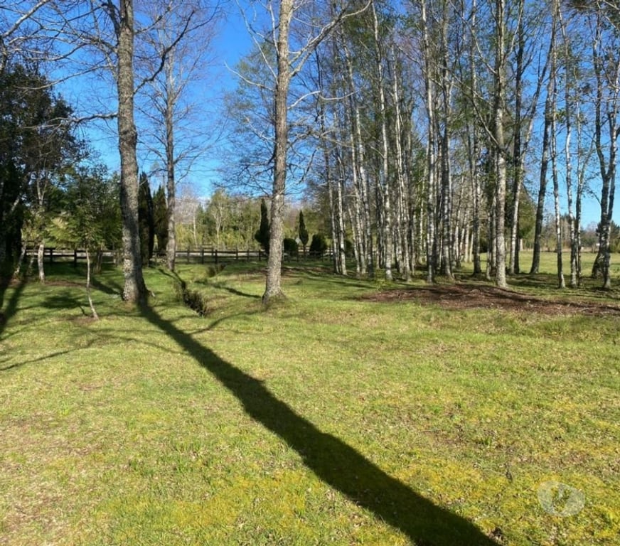 Bienes Raices Cautín Villarrica - Fotos de Parcela a 10 minutos Villarrica ,agua, luz y fibra óptica