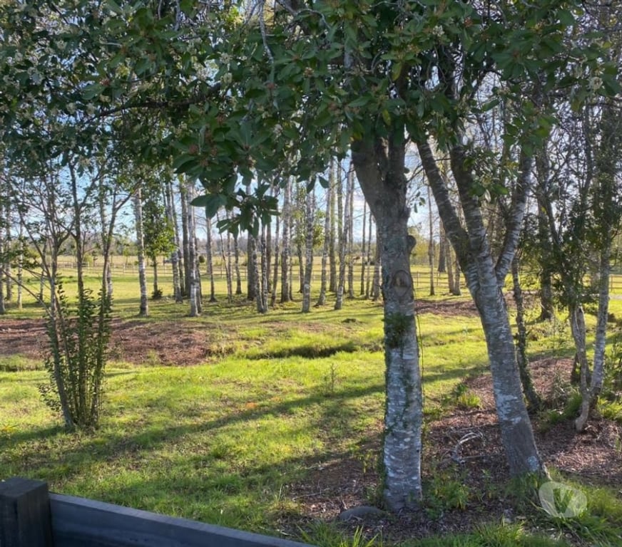 Bienes Raices Cautín Villarrica - Fotos de Parcela a 10 minutos Villarrica ,agua, luz y fibra óptica