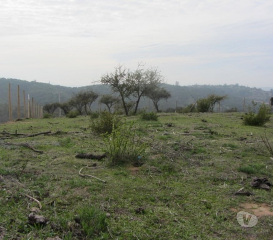 Parcelas en Venta Valparaíso Villa Alemana - Fotos de PARCELA EXCELENTE VISTA PEÑABLANCA CAJON DEL LEBU
